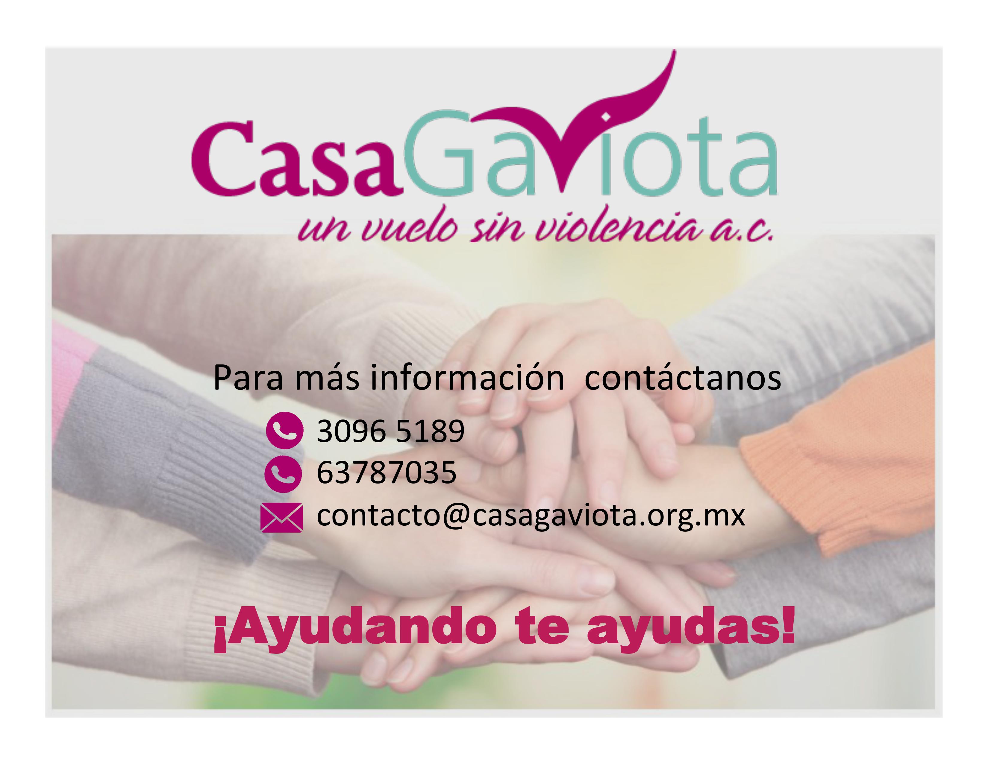 Contacto CasaGaviota